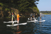 &copy;  Fran�ois Van Malleghem
