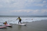 &copy; Surfing Sardine