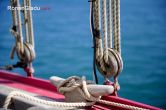 &copy; Ronan Gladu