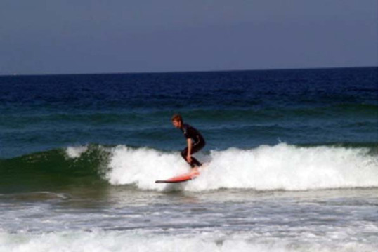 &copy; Surfing Sardine
