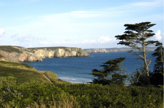 &copy; APAS CAMARET