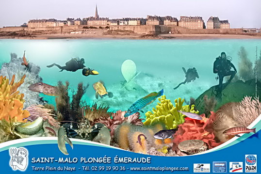 &copy; SAINT MALO PLONGEE EMERAUDE