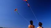 Cerf volant