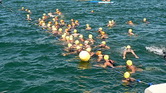 Natation en mer