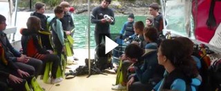 Plong�e au Centre Bleu Emeraude St Malo 2013.wmv