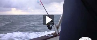 P�che bar Belle Ile  2012